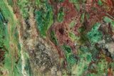 Colorful Parrot Wing Chrysocolla Slab - Mexico #265634-1